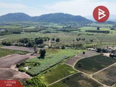 ขายที่ดิน เนื้อที่ 10 ไร่ 3 งาน 5 ตร.วา บ้านบึง ชลบุรี-202511251519421764058782551.jpg