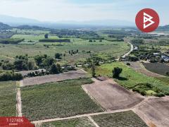 ขายที่ดิน เนื้อที่ 10 ไร่ 3 งาน 5 ตร.วา บ้านบึง ชลบุรี-202511251519431764058783727.jpg