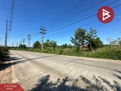 ขายที่ดิน เนื้อที่ 10 ไร่ 3 งาน 5 ตร.วา บ้านบึง ชลบุรี-202511251519441764058784302.jpg