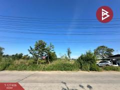 ขายที่ดิน เนื้อที่ 10 ไร่ 3 งาน 5 ตร.วา บ้านบึง ชลบุรี-202511251519441764058784863.jpg