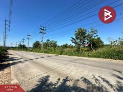 ขายที่ดิน เนื้อที่ 10 ไร่ 3 งาน 5 ตร.วา บ้านบึง ชลบุรี-202511251519451764058785422.jpg