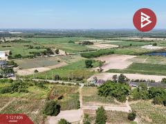 ขายที่ดิน เนื้อที่ 10 ไร่ 3 งาน 5 ตร.วา บ้านบึง ชลบุรี-202511251519451764058785991.jpg