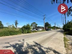 ขายที่ดิน เนื้อที่ 10 ไร่ 3 งาน 5 ตร.วา บ้านบึง ชลบุรี-202511251519461764058786548.jpg