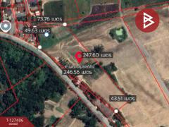 ขายที่ดิน เนื้อที่ 10 ไร่ 3 งาน 5 ตร.วา บ้านบึง ชลบุรี-202511251519471764058787104.jpg