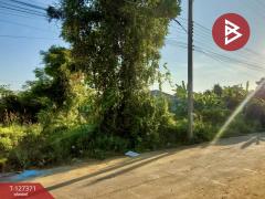 ขายที่ดิน พื้นที่ 112.8 ตารางวา หัวรอ เมืองพิษณุโลก-202511251528011764059281237.jpg