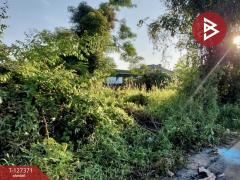 ขายที่ดิน พื้นที่ 112.8 ตารางวา หัวรอ เมืองพิษณุโลก-202511251528031764059283505.jpg