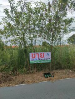 ที่ดินแปลงสวย ราคาดี จ.ปทุมธานี