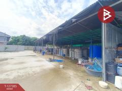 ขายที่ดินพร้อมสิ่งปลูกสร้าง เนื้อที่ 3 งาน 8 ตร.วา ไทรน้อย นนทบุรี-202511251557471764061067240.jpg