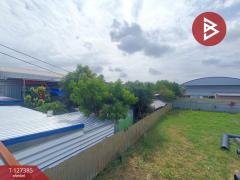 ขายที่ดินพร้อมสิ่งปลูกสร้าง เนื้อที่ 3 งาน 8 ตร.วา ไทรน้อย นนทบุรี-202511251557471764061067776.jpg