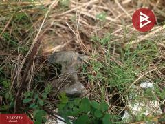 ขายที่ดินพร้อมสิ่งปลูกสร้าง เนื้อที่ 3 งาน 8 ตร.วา ไทรน้อย นนทบุรี-202511251557481764061068311.jpg