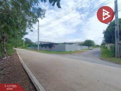 ขายที่ดินพร้อมสิ่งปลูกสร้าง เนื้อที่ 3 งาน 8 ตร.วา ไทรน้อย นนทบุรี-202511251557491764061069926.jpg