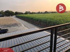 ขายอาคารพาณิชย์ 2 คูหา เนื้อที่ 23.2 ตร.วา ดอนตูม นครปฐม ทำเลดีฯติดถนน-202511251628251764062905521.jpg