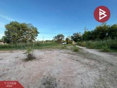 ขายที่ดินแปลงสวย เนื้อที่ 2 ไร่ 1 งาน 77.2 ตารางวา แสลง จันทบุรี-202511251640341764063634974.jpg