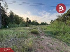 ขายที่ดินแปลงสวย เนื้อที่ 2 ไร่ 1 งาน 77.2 ตารางวา แสลง จันทบุรี-202511251640361764063636046.jpg