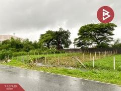 ขายที่ดิน เนื้อที่ 55.4 ตารางวา หาดใหญ่ สงขลา-202511251711541764065514393.jpg