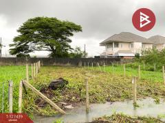 ขายที่ดิน เนื้อที่ 55.4 ตารางวา หาดใหญ่ สงขลา-202511251711541764065514931.jpg