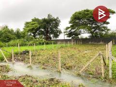 ขายที่ดิน เนื้อที่ 55.4 ตารางวา หาดใหญ่ สงขลา-202511251711551764065515477.jpg