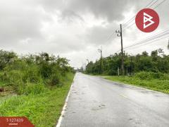 ขายที่ดิน เนื้อที่ 55.4 ตารางวา หาดใหญ่ สงขลา-202511251711571764065517293.jpg