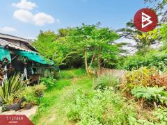 ขายบ้านเดี่ยว เนื้อที่ 84.2 ตารางวา ต.บ้านยาง นครปฐม ติดถนนบรรยากาศดี-202511251756501764068210284.jpg