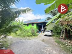 ขายบ้านเดี่ยวพร้อมที่ดิน เนื้อที่ 2 งาน 34 ตร.วา ท้ายหาด สมุทรสงคราม-202511252100281764079228554.jpg