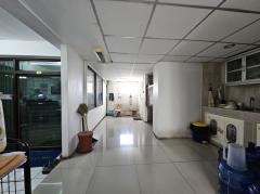 ขายตึกแถว 2 คูหา 4 ชั้นครึ่ง มีดาดฟ้า  ซอยรามคำแหง 166 เหมาะทำธุรกิจ การค้า ขนาด 40 ตรว-202511260838321764121112534.jpg