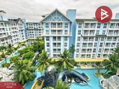 ขายคอนโด แกรนด์ฟลอริด้า บีชฟร้อนท์ รีสอร์ท พัทยา ชลบุรี ติดทะเล สไตล์รีสอร์ท-202511261042581764128578818.jpg