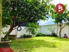 ขายบ้านเดี่ยว หมู่บ้านทรัพย์ธานี 3 ธัญบุรี-คลอง 8 ปทุมธานี-202511261053511764129231966.jpg