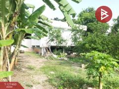 ขายที่ดิน เนื้อที่ 1 งาน 65 ตร.วา บางคนที สมุทรสงคราม