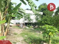 ขายที่ดิน เนื้อที่ 1 งาน 65 ตร.วา บางคนที สมุทรสงคราม-202511261108101764130090967.jpg