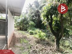 ขายที่ดิน เนื้อที่ 1 งาน 65 ตร.วา บางคนที สมุทรสงคราม-202511261108141764130094096.jpg