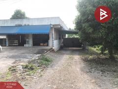 ขายที่ดิน เนื้อที่ 1 งาน 65 ตร.วา บางคนที สมุทรสงคราม-202511261108151764130095192.jpg