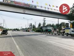 ขายที่ดิน เนื้อที่ 1 งาน 65 ตร.วา บางคนที สมุทรสงคราม-202511261108151764130095738.jpg