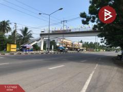 ขายที่ดิน เนื้อที่ 1 งาน 65 ตร.วา บางคนที สมุทรสงคราม-202511261108161764130096284.jpg