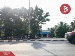 ขายที่ดิน เนื้อที่ 1 งาน 65 ตร.วา บางคนที สมุทรสงคราม-202511261108161764130096869.jpg