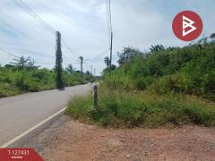 ขายที่ดิน เนื้อที่ 96 ตร.วา ลาดใหญ่ สมุทรสงคราม-202511261114031764130443783.jpg