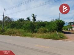 ขายที่ดิน เนื้อที่ 96 ตร.วา ลาดใหญ่ สมุทรสงคราม-202511261114041764130444334.jpg