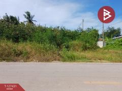 ขายที่ดิน เนื้อที่ 96 ตร.วา ลาดใหญ่ สมุทรสงคราม-202511261114041764130444883.jpg