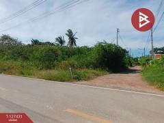 ขายที่ดิน เนื้อที่ 96 ตร.วา ลาดใหญ่ สมุทรสงคราม-202511261114051764130445433.jpg