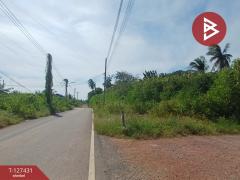 ขายที่ดิน เนื้อที่ 96 ตร.วา ลาดใหญ่ สมุทรสงคราม-202511261114051764130445978.jpg