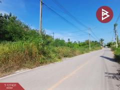 ขายที่ดิน เนื้อที่ 96 ตร.วา ลาดใหญ่ สมุทรสงคราม-202511261114061764130446516.jpg