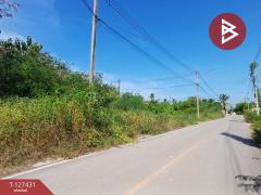 ขายที่ดิน เนื้อที่ 96 ตร.วา ลาดใหญ่ สมุทรสงคราม-202511261114071764130447058.jpg