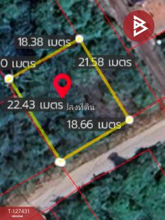 ขายที่ดิน เนื้อที่ 96 ตร.วา ลาดใหญ่ สมุทรสงคราม-202511261114071764130447608.jpg