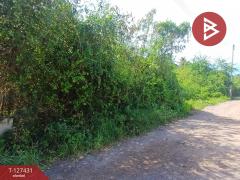 ขายที่ดิน เนื้อที่ 96 ตร.วา ลาดใหญ่ สมุทรสงคราม-202511261114091764130449210.jpg