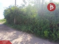 ขายที่ดิน เนื้อที่ 96 ตร.วา ลาดใหญ่ สมุทรสงคราม-202511261114091764130449761.jpg