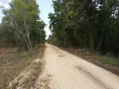 ขายด่วนที่ใกล้ ม.ธรรมศาสตร์ศูนย์ลำปาง ขนาด 152 ตารางวา ต.ปงยางคก อ.ห้างฉัตร จ.ลำปาง