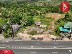 ขายที่ดิน เนื้อที่ 2 ไร่ 5 ตร.วา เขาสมิง ตราด-202511261128171764131297217.jpg