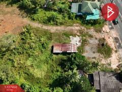 ขายที่ดิน เนื้อที่ 2 ไร่ 5 ตร.วา เขาสมิง ตราด-202511261128181764131298276.jpg