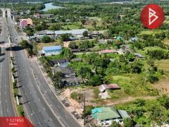 ขายที่ดิน เนื้อที่ 2 ไร่ 5 ตร.วา เขาสมิง ตราด-202511261128201764131300640.jpg