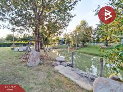 ขายที่ดิน เนื้อที่ 2 งาน 41 ตร.วา บ้านยาง นครปฐม-202511261229481764134988426.jpg