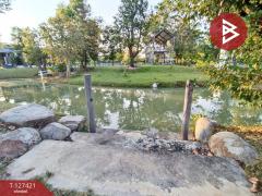 ขายที่ดิน เนื้อที่ 2 งาน 41 ตร.วา บ้านยาง นครปฐม-202511261229481764134988989.jpg